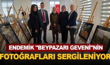 Endemik "Beypazarı geveni"nin fotoğrafları sergileniyor