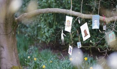 23 Nisan’da Sanatla Büyüyen Ağacım